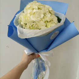 Bouquet of hydrangea Hoarfrost