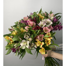 Bouquet of 35 alstroemeria mix