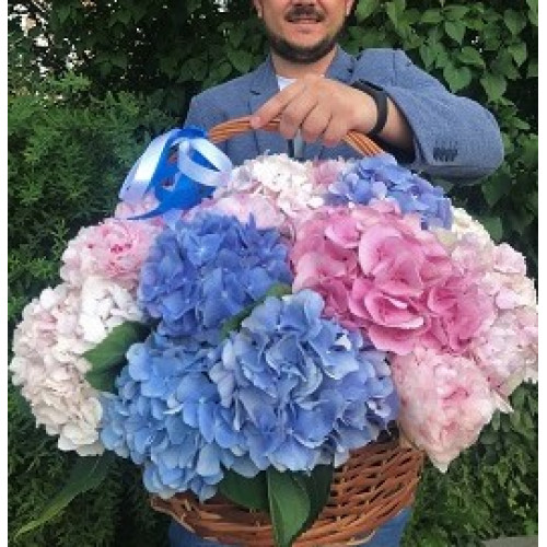 Basket with hydrangea Happiness