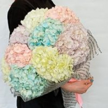 Bouquets of hydrangeas